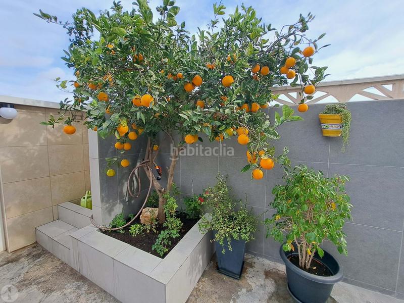 Foto 7a8fe158-cd92-41f7-8ae0-2757624de941. Edifici a Ses Figueretes - Platja d'en Bossa - Cas Serres Ibiza