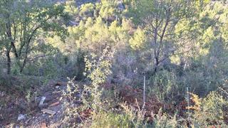 Flat in Corral de la farga