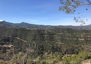 House in Sant miquel, 24