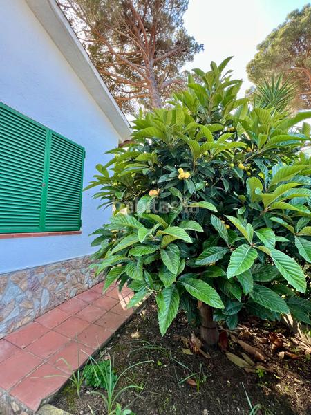 Foto 599e2a05-89d4-4c94-8c3c-496e3b73bbd0. Casa a oloff palme 1 a terrabrava - Tordera parc Tordera