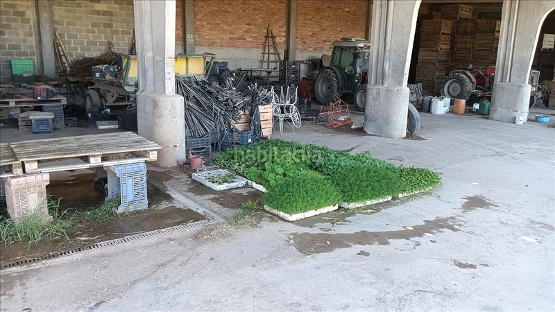 Foto e2e067a1-5aca-402c-a627-c493b8697c31. Fondo rustico in proc. simplificado in Fuliola (La)