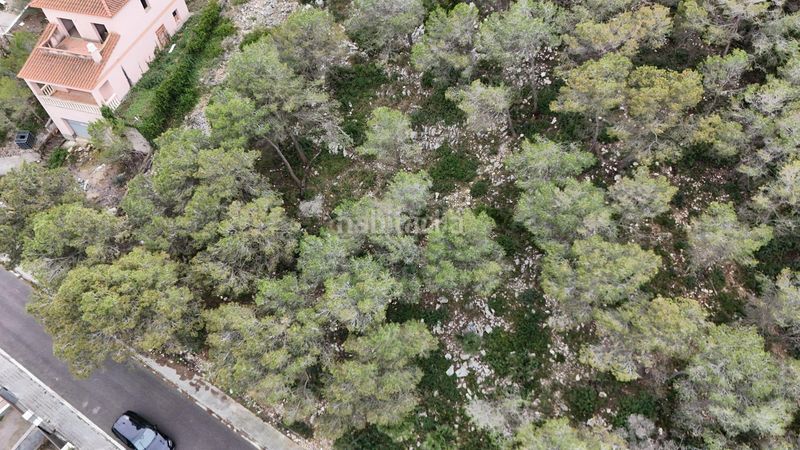 Foto 9d34ce2f-1257-4073-b32b-5a3dc6aee03a. Finca rústica a carrer becquer a Canyelles