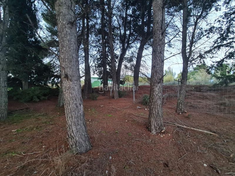 Foto 5f857e07-6e73-4de0-979b-dbb90a3774b9. Terreny residencial a b cerdera alta a La Cerdera Lleida