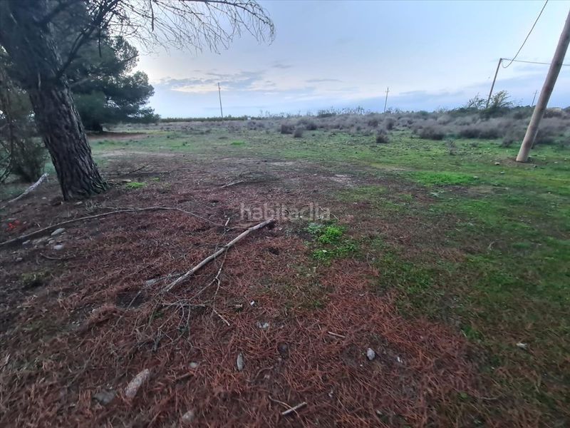 Foto f03e969b-39bf-4ff7-bfbb-fa628abd5085. Terreny residencial a b cerdera alta a La Cerdera Lleida