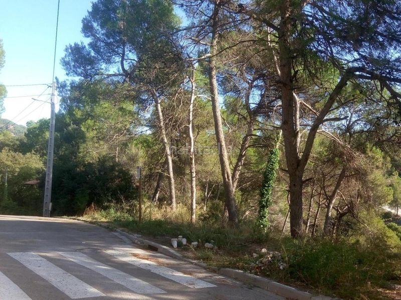 Foto f78e5d07-76e7-45bf-94d6-889a0f9fa2dd. Terreny residencial a Vacarisses