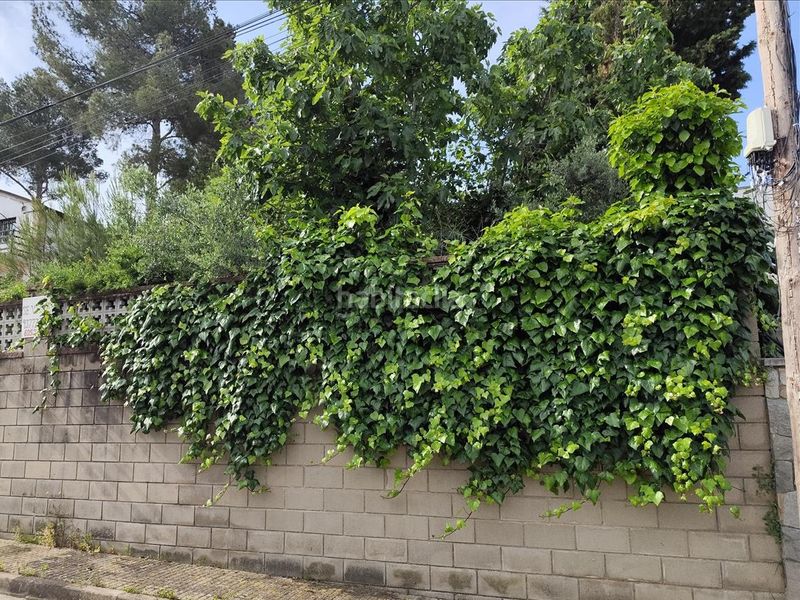 Foto 908b8123-2b38-45e9-b1e3-483c3597a0e1. Terreny residencial a bosc a Piera