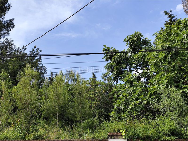 Foto ca5d87c4-6543-4ff8-87f5-6261f08bf106. Terreny residencial a bosc a Piera