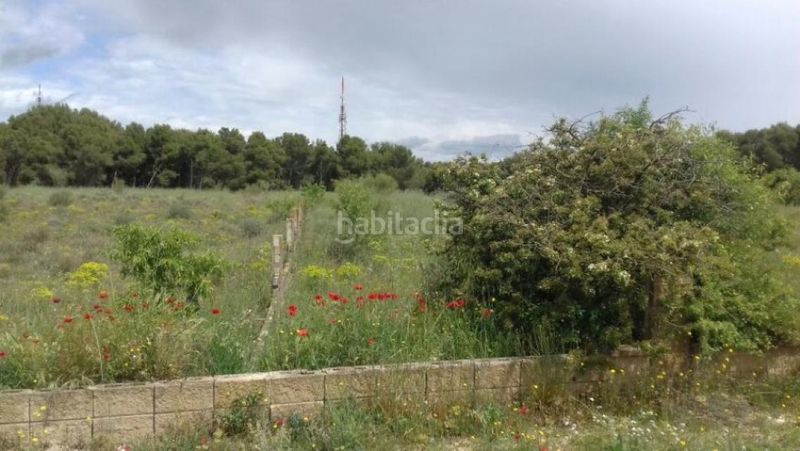 Foto f1c1fddd-8cb9-40b9-839e-6ede09ae3729. Terreny residencial a pluto a La Cerdera Lleida