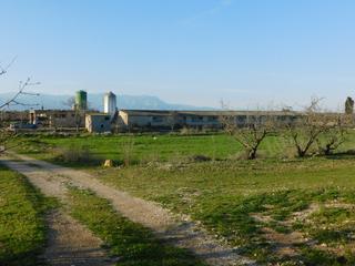 Masia a Poligono 37, parcela 11, 17, 19, 20, 21, 25, 26 y. Finca con granjas porcinas en termino de godall