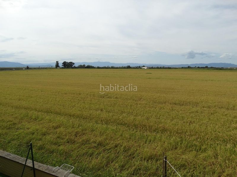 Foto 0dd9ff30-8718-4ef1-a6ab-49c31b4ea52e. Apartament a eucaliptus 13 a Eucaliptus - Poble Nou del Delta Amposta