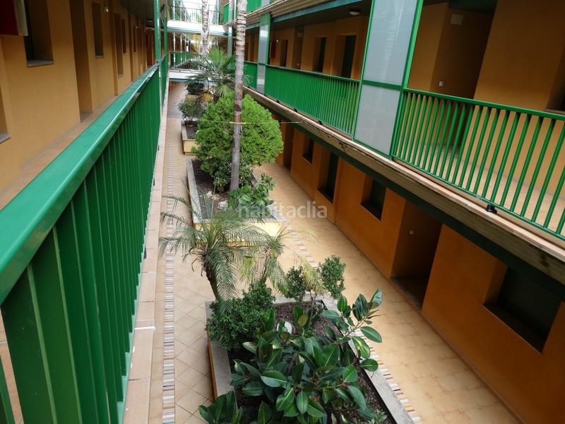 Foto 13ff01ef-c6ee-4eee-b73e-00de6e9c5f0d. Apartament a eucaliptus 13 a Eucaliptus - Poble Nou del Delta Amposta