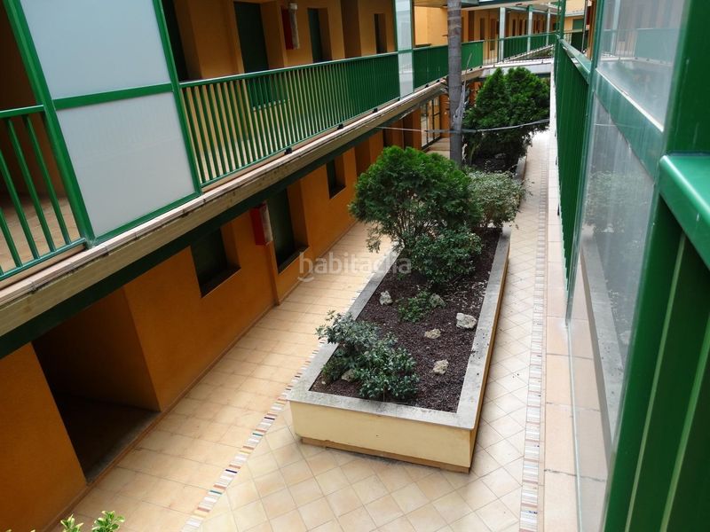 Foto 4ef09c2d-4563-4f92-9880-61bead834969. Apartament a eucaliptus 13 a Eucaliptus - Poble Nou del Delta Amposta