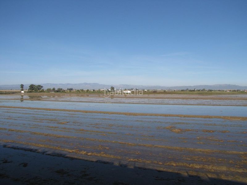 Foto 5d66d92d-d931-47f8-acf9-e4a3c1c1d13c. Apartament amb calefacció aparcament a Eucaliptus - Poble Nou del Delta Amposta