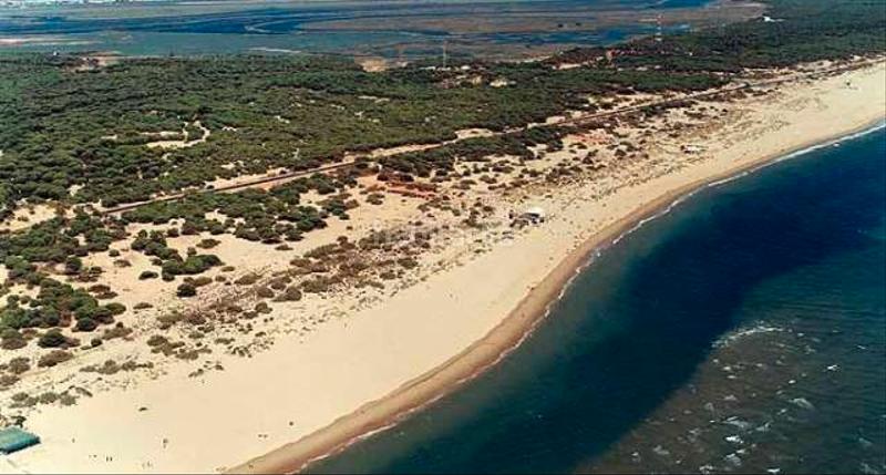 Foto 5b9d02e4-cdf8-4a72-a4a6-e89885d79739. Apartament amb piscina a El Portil