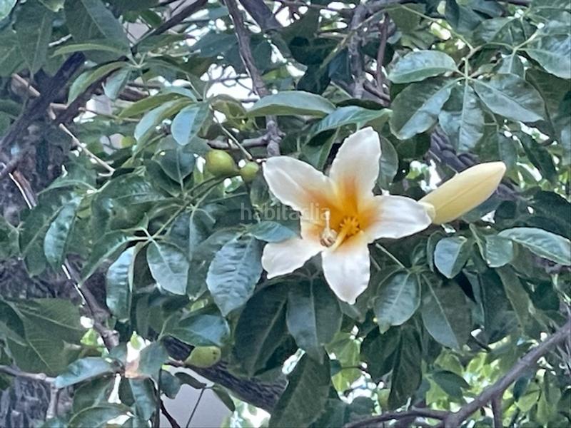 Foto 2e9a1f9b-ac5c-410a-8a9c-a5d68669eced. Geschäftsraum in Besòs - Maresme Barcelona