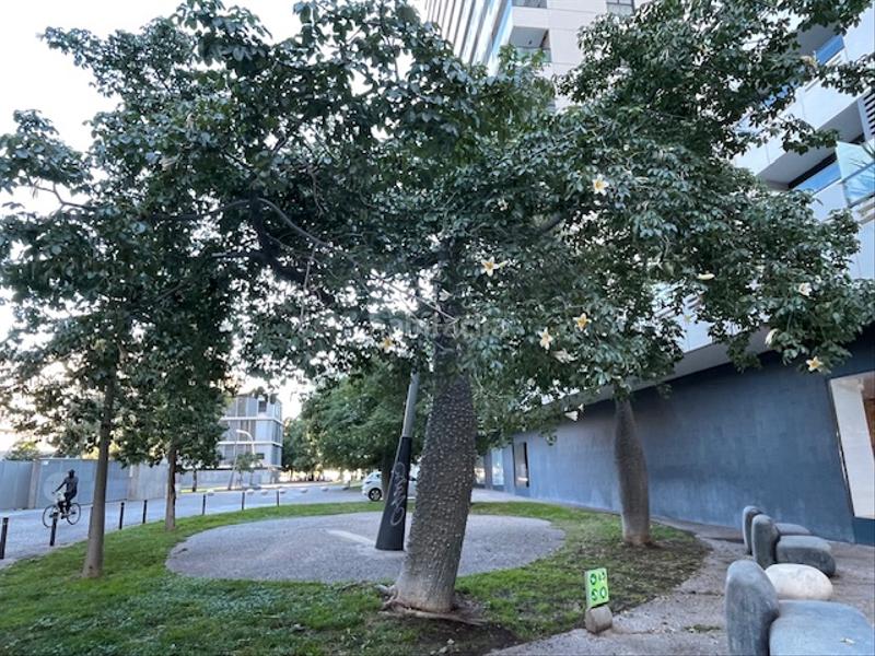 Foto 1b07be55-7b2b-43b0-a69a-8b12be75231c. Locale commerciale in Besòs - Maresme Barcelona