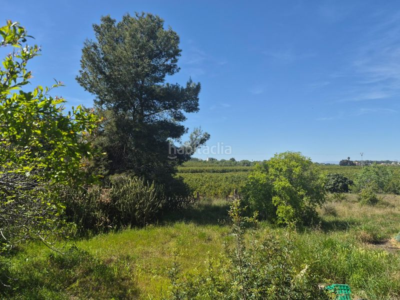 Foto 5384025e-9854-4819-8239-9488527578e3. Xalet amb aparcament piscina a Moncada