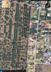 Finca rústica a Las Lagunas - Campano. Parcela segregada de 1000m2