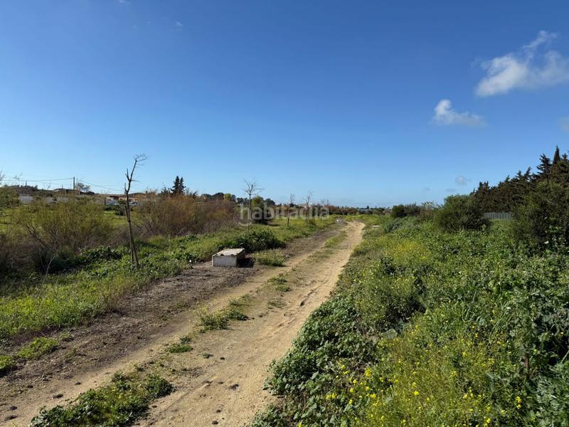 Foto 444326ac-32d7-407e-bbca-33378d75c077. Terrain résidentiel dans Las Lagunas - Campano Chiclana de la Frontera
