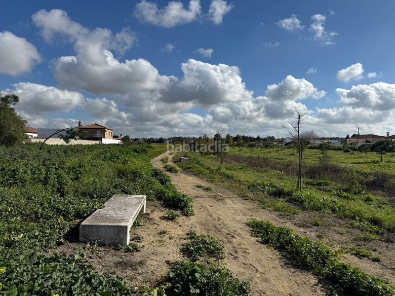 Foto 5a75ebb8-b16a-4e28-9c08-305bfe6fa832. Terrain résidentiel dans Las Lagunas - Campano Chiclana de la Frontera