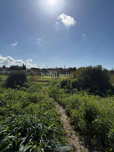 Foto b17d700c-0904-48fb-ab7e-3e53f18accd1. Terrain résidentiel dans Las Lagunas - Campano Chiclana de la Frontera