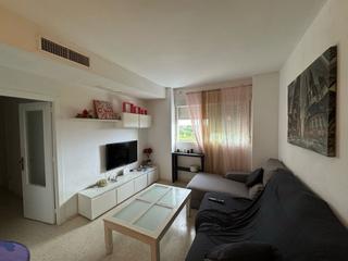 Appartement  Profesor manuel olivencia ruiz. Piso en venta en sevilla este, 3 dormitorios.