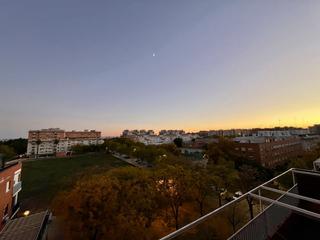 Appartement  Flor de salvia. Piso en venta en sevilla este  av. de las ciencias  entreflores,