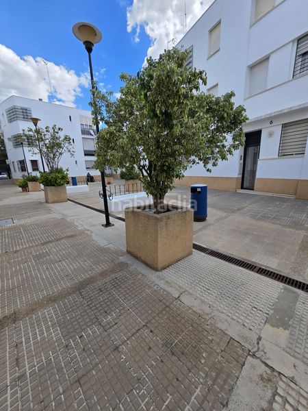 Foto 4ee09769-45cd-4a83-84ad-09a211316498. Pis a Carmona
