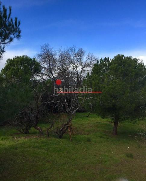 Foto d1aaba70-fcd8-4f6f-81df-e5a84ca4c8db. Terreno residencial /terreno en Cerro Alarcón Valdemorillo