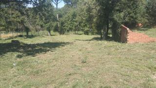 Finca rústica  Carrer de la pantera. Terreno en venta en sils