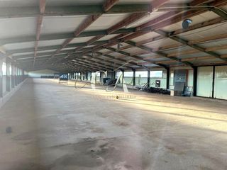 Fabrikhalle in Carrión de Calatrava