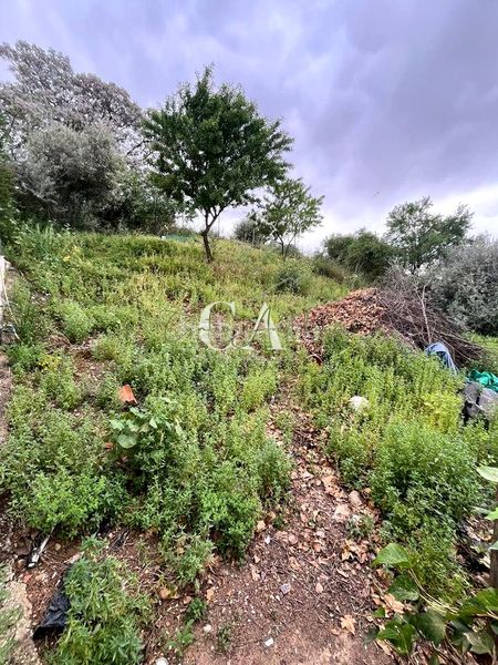 Foto 2600cdb3-ea2e-44b8-842c-3d5141b885e8. Casa en Puente Genil