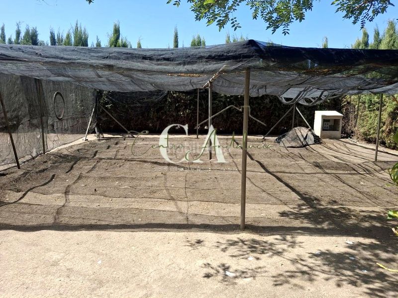 Foto c43cf550-fb5e-45d4-a888-cedfa14888e8. Terreny residencial a Puente Genil