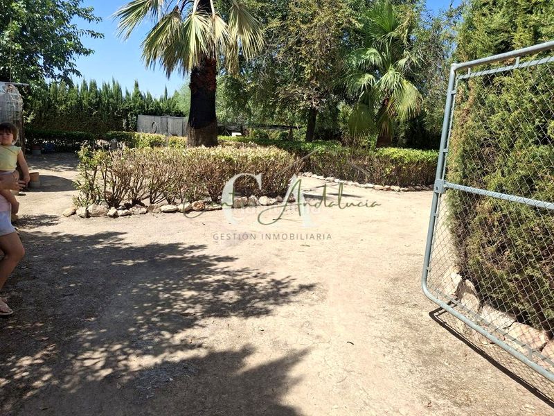 Foto c735fc8b-689f-48f8-ad6c-bf6dff7ff9a0. Terreny residencial a Puente Genil