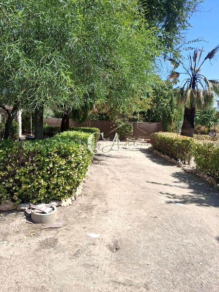 Foto f80ed00e-4e6e-4b3f-bd22-95ac365d03cf. Terreny residencial a Puente Genil