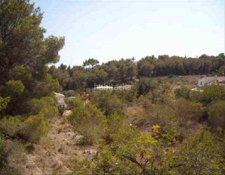 Foto 1fdef731-93b8-450e-889e-ef46f4a502a1. Fondo rustico in Partida Tosal - Zona dels Castellans Xàbia