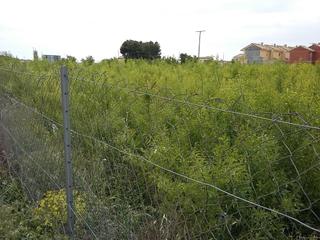 Landgut  Poligono. Solvia inmobiliaria  suelo urbanizable caudete de las fuentes
