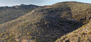 Propriété  De los tristanes, rellano de la vieja. Solvia inmobiliaria  suelo rústico níjar