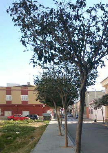 Foto 81a76ccd-2967-43d8-bce1-06e11754f785. Aparcament cotxe a Monserrat