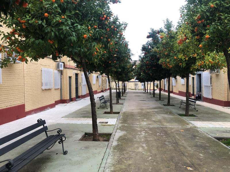 Foto 7acb3bad-3f4a-4e5e-9932-e105ef5ae85e. Piso solvia inmobiliaria piso en Arrayanes Linares
