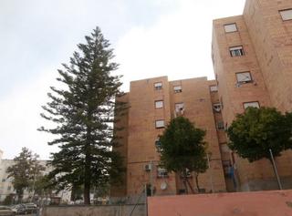 Pis  La fragua. Solvia inmobiliaria  piso jerez de la frontera