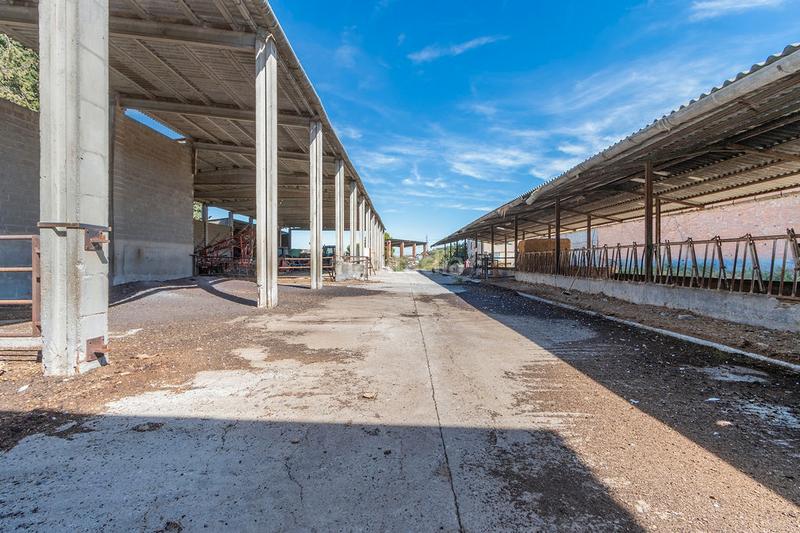 Foto 05007b45-3557-424f-8f12-32a3d748eeb1. Nave industrial solvia inmobiliaria nave industrial en Torrefarrera