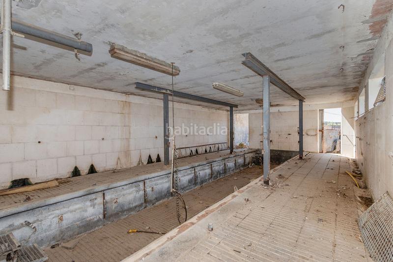 Foto 3c5301e0-891e-4383-b778-0639da065665. Nave industrial solvia inmobiliaria nave industrial en Torrefarrera