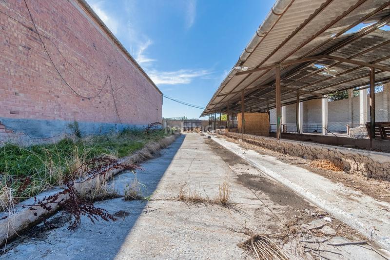 Foto 7921a0e2-7772-4507-9140-140aae7f63a2. Nave industrial solvia inmobiliaria nave industrial en Torrefarrera