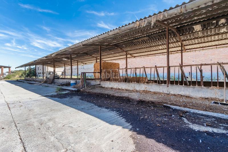 Foto d7716473-800d-474d-b0c3-5cd2a58c381a. Nave industrial solvia inmobiliaria nave industrial en Torrefarrera