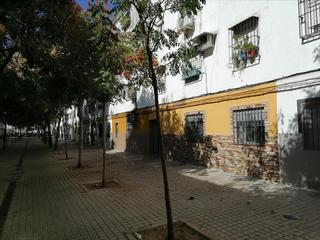 Pis  C/ sauce. Solvia inmobiliaria  piso sevilla