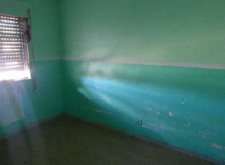 Pis  Alegria. Solvia inmobiliaria  piso palencia