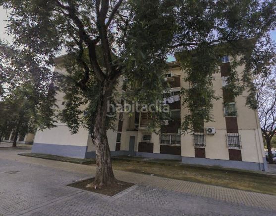 Foto 9797fb11-550f-4fbb-93d6-d51f4498571b. Pis a La Oliva Sevilla