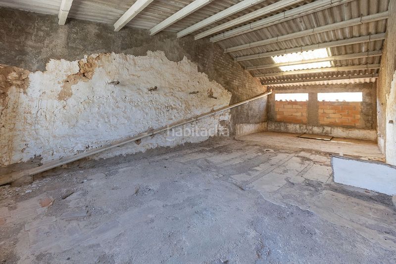 Foto 0e0d2ec9-4e5d-4109-a33f-79db65771121. Pis a Godall