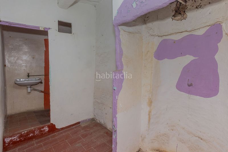 Foto ef4228a8-df0b-45e8-b7ed-2b5d7fbe4b7f. Pis a Godall